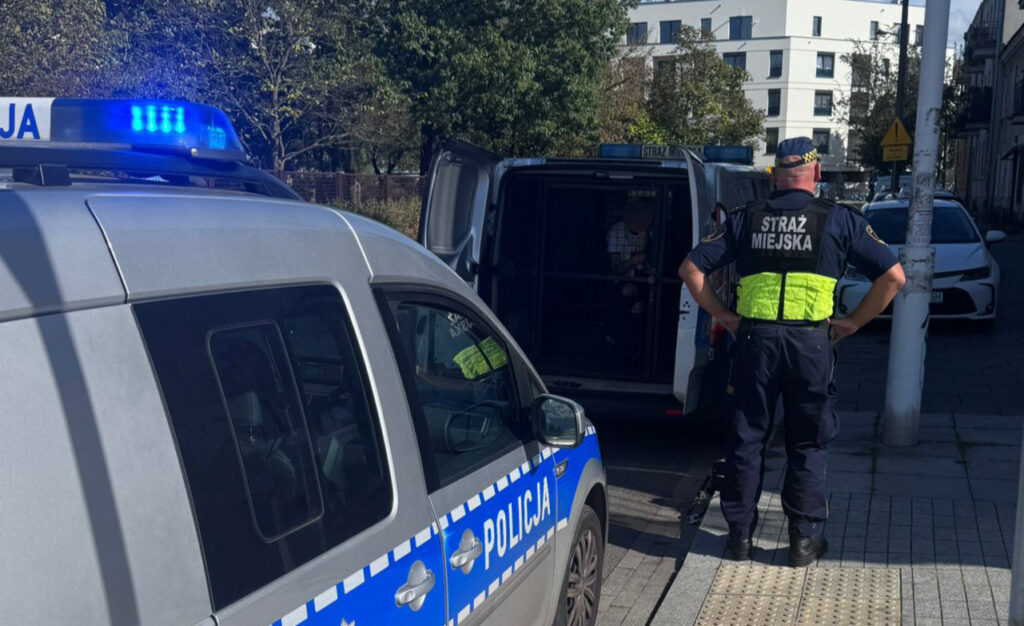 Funkcjonariusz straży miejskiej obserwujący sytuację obok radiowozu policyjnego na miejskiej ulicy.