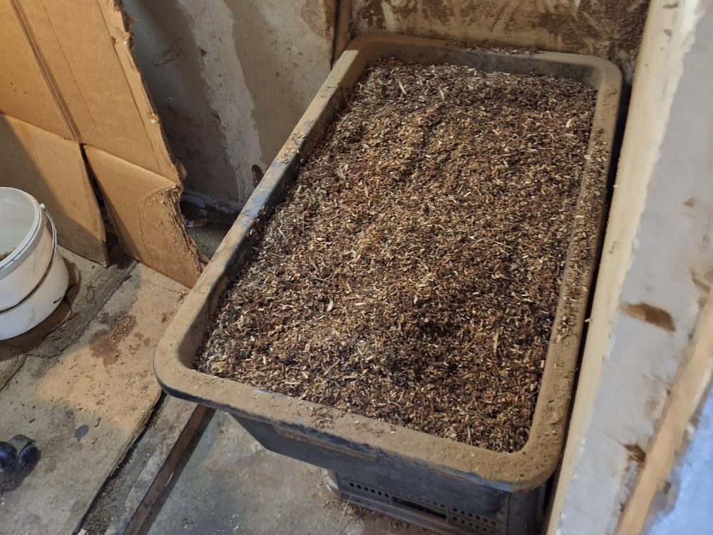 Pojemnik wypełniony podłożem organicznym stoi na podłodze w pomieszczeniu z widocznymi ścianami i kartonami.