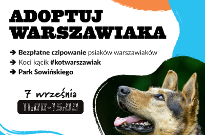 Plakat promujący wydarzenie adopcyjne z wizerunkiem psa, zawierający informacje o czipowaniu i kocim kąciku.