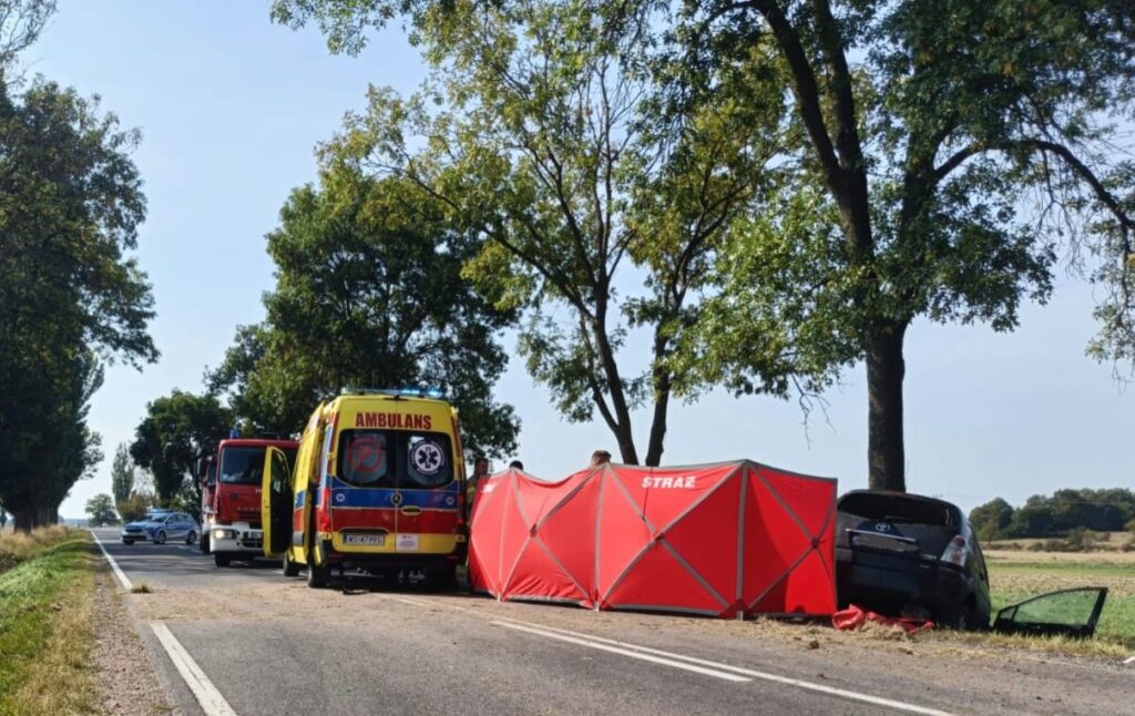 Na drodze stoi karetka pogotowia oraz wóz strażacki, obok rozłożony czerwony namiot. W tle widoczny uszkodzony samochód.