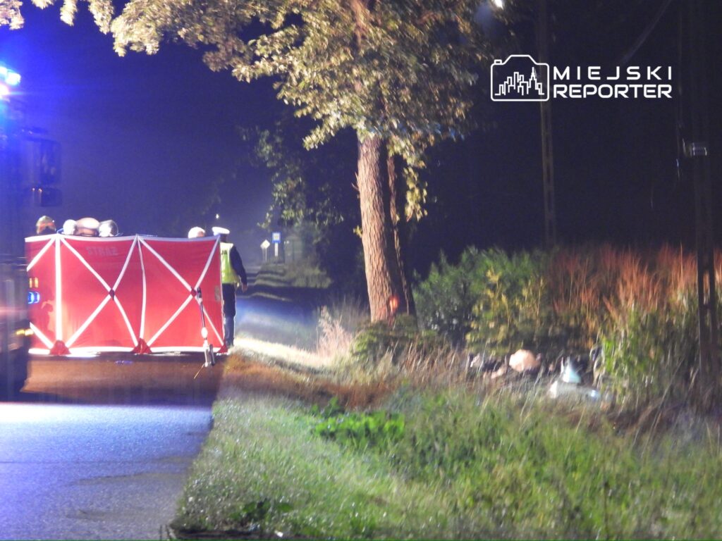 Grupa ratowników przy czerwonym parawanie na poboczu drogi w nocy, w otoczeniu drzew i krzewów.