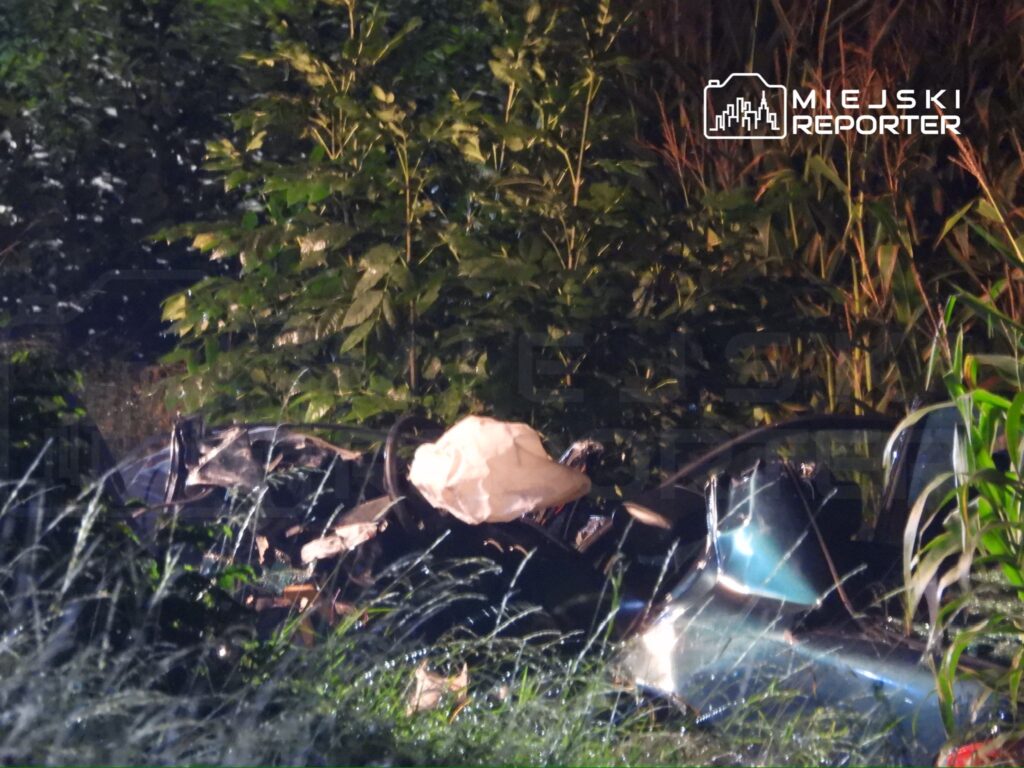 Wrak samochodu leży w zaroślach, otoczony wysoką trawą i drzewami, z widocznym wystrzelonym poduszką powietrzną.
