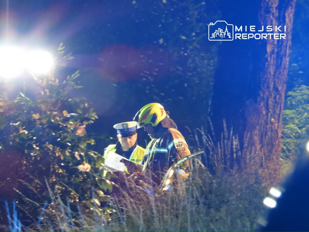 Funkcjonariusze policji i straży pożarnej analizują sytuację w terenie, oświetlonym przez niebieskie światła.