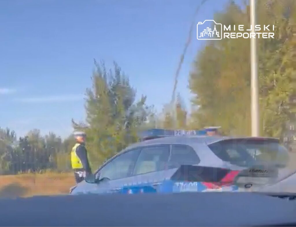 Policjant w odblaskowej kamizelce kontroluje ruch obok radiowozu na drodze w otoczeniu drzew.