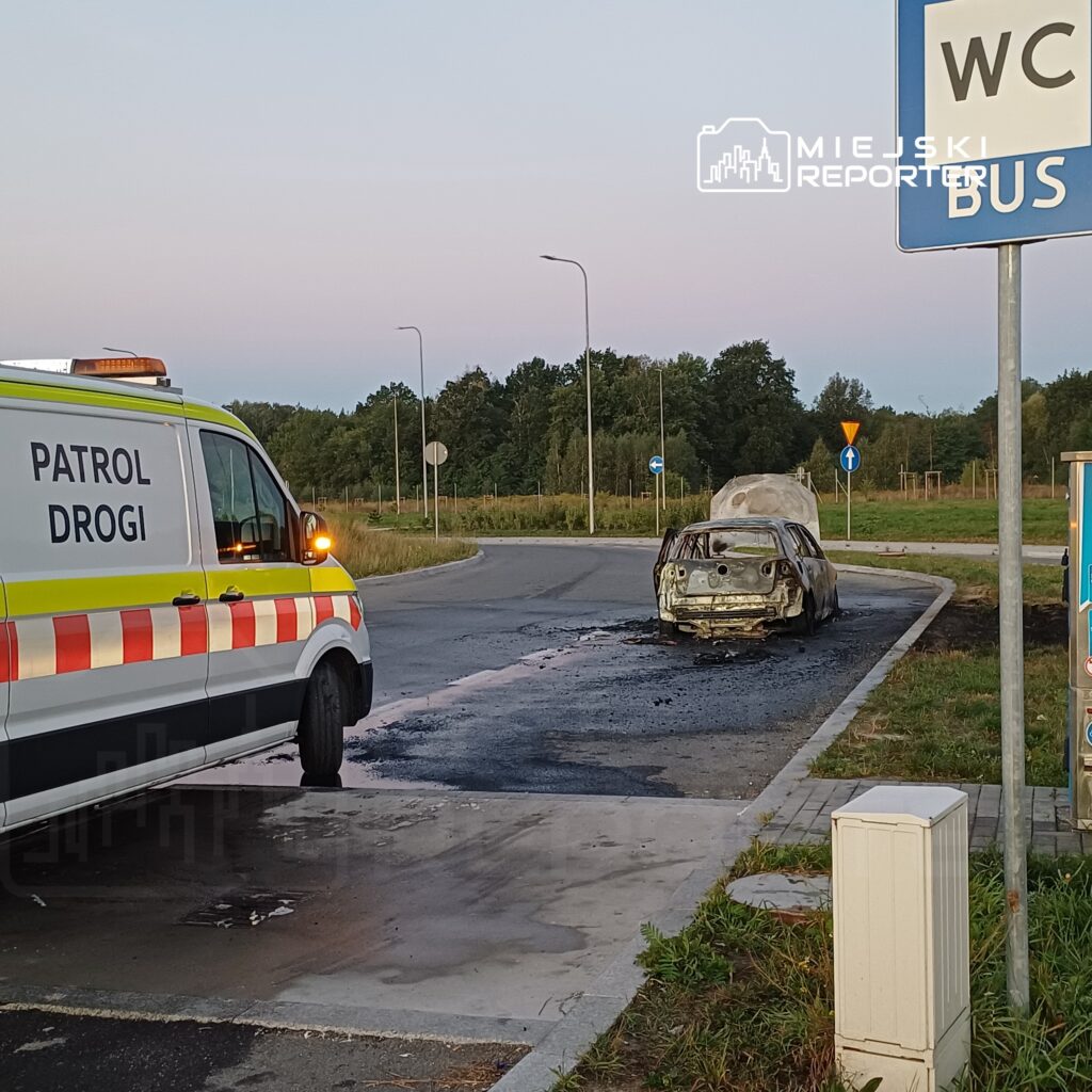 Patrol drogowy stoi obok spalonego samochodu na poboczu drogi, w tle widać znaki drogowe i zieleń.