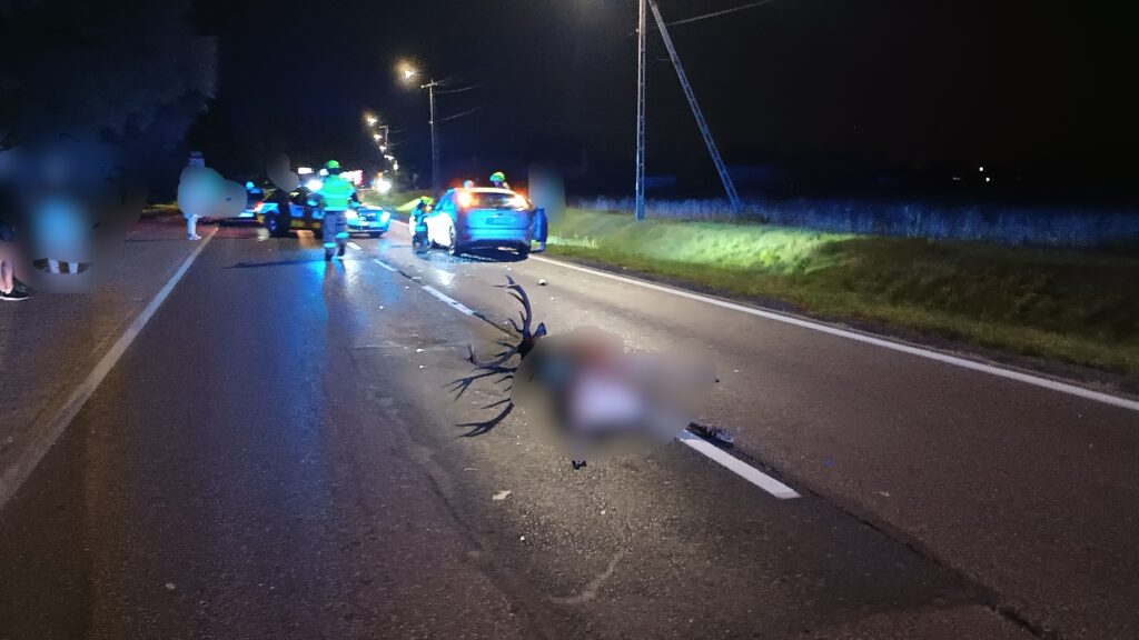 Na drodze nocą leży martwe zwierzę, a w tle widać pojazdy policyjne oraz ratowników.