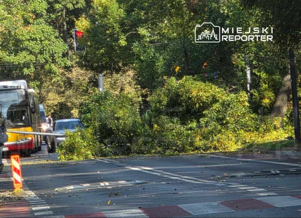 Złamane gałęzie blokujące jezdnię, obok przystanek autobusowy i sygnalizacja świetlna.