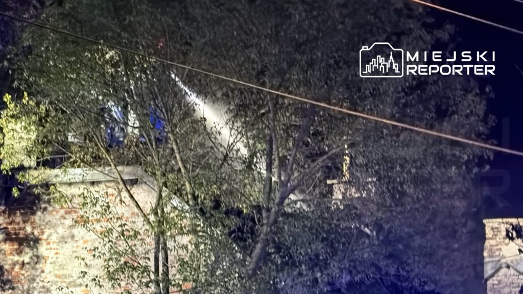 Strażacy kierują strumień wody na ogień widoczny w zaroślach w nocy, otoczeni przez drzewa.