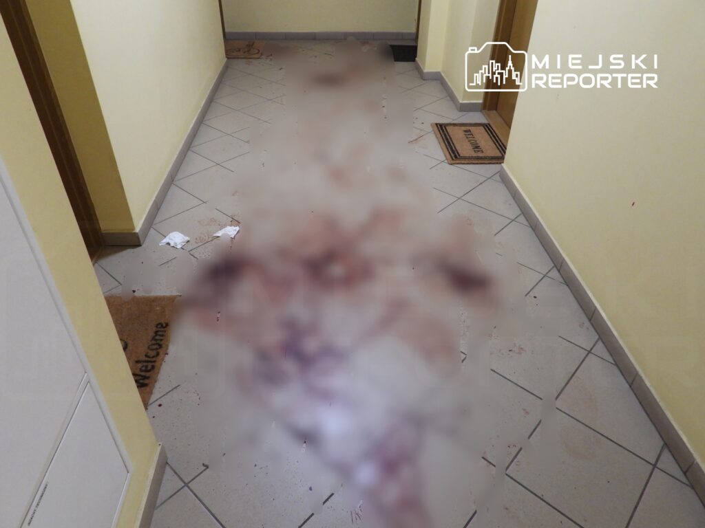 Korytarz w budynku z plamami krwi na podłodze oraz porozrzucanymi chusteczkami papierowymi.