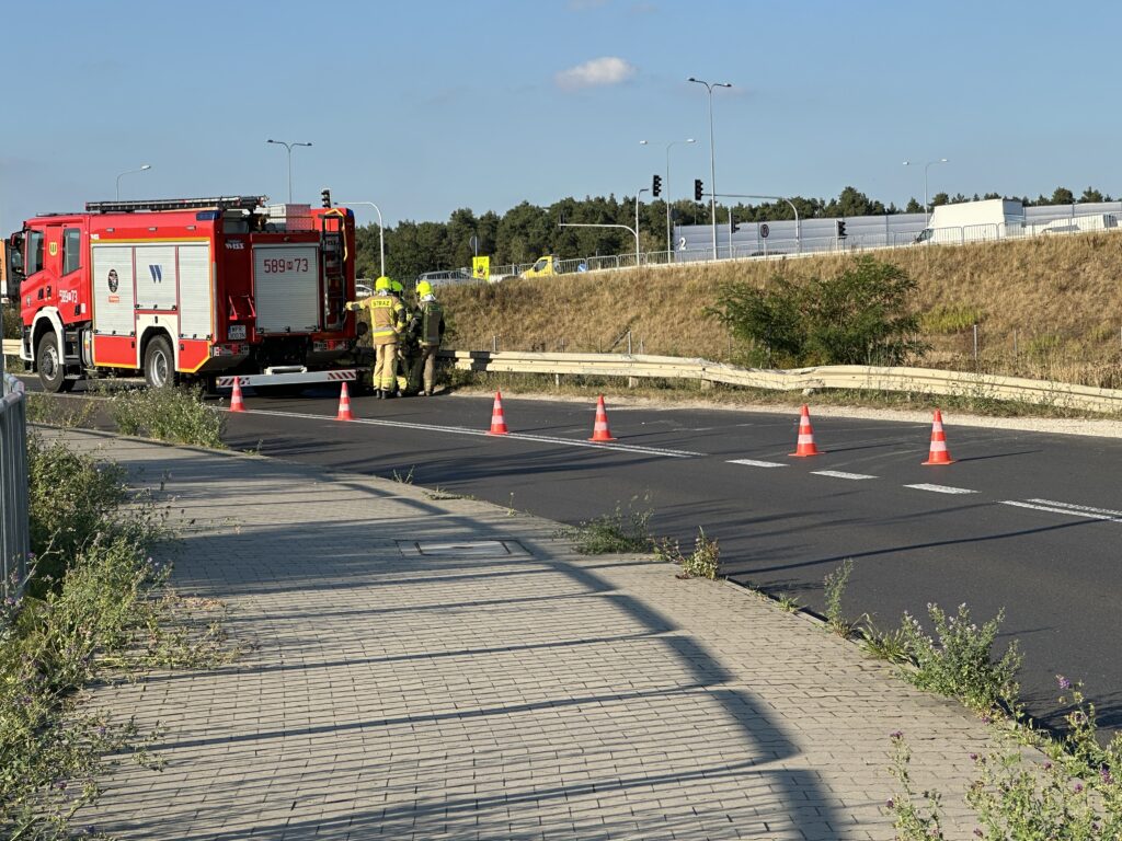 Strażacy w specjalnych strojach pracują przy drodze, obok wozu strażackiego, zabezpieczając miejsce akcji za pomocą pachołków.