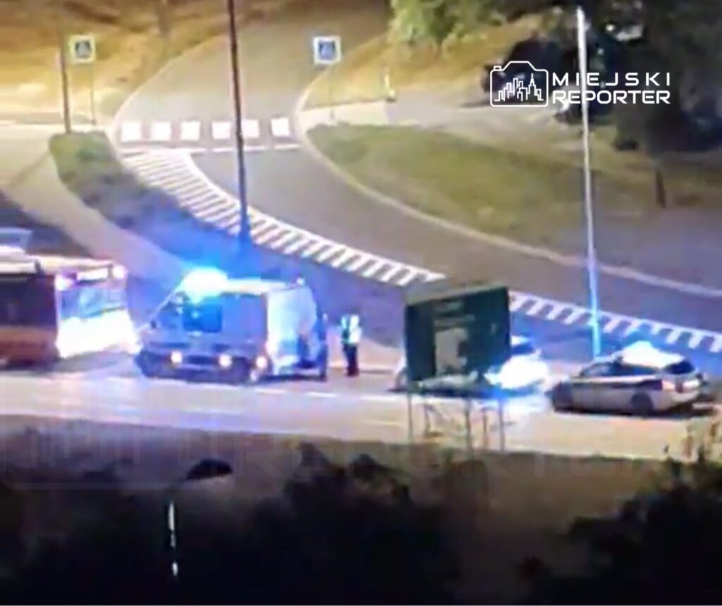 Grupa policjantów rozmawia z kierowcą na poboczu drogi, obok zatrzymanego pojazdu z włączonymi sygnałami świetlnymi.