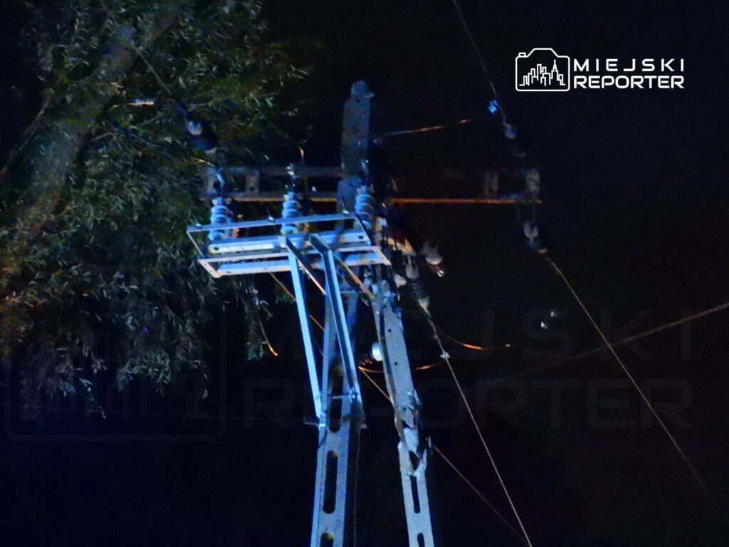 Słup energetyczny z przewodami elektrycznymi w nocy, otoczony gałęziami drzew.