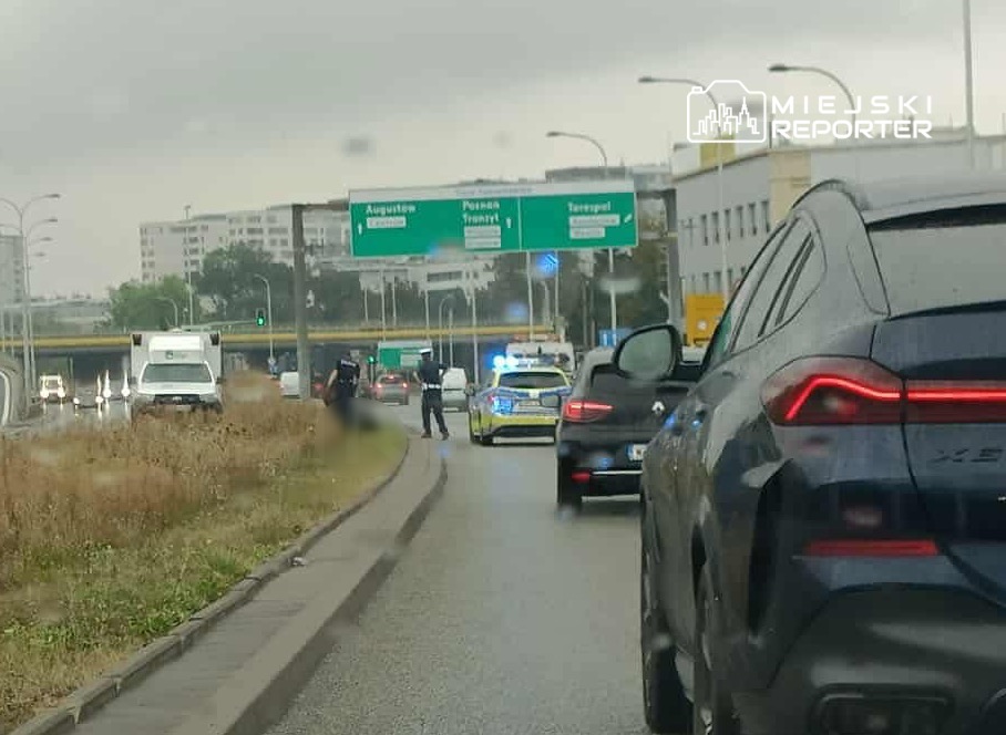 Policjanci prowadzą czynności na ruchliwej drodze, obok zaparkowanego radiowozu i samochodów osobowych.