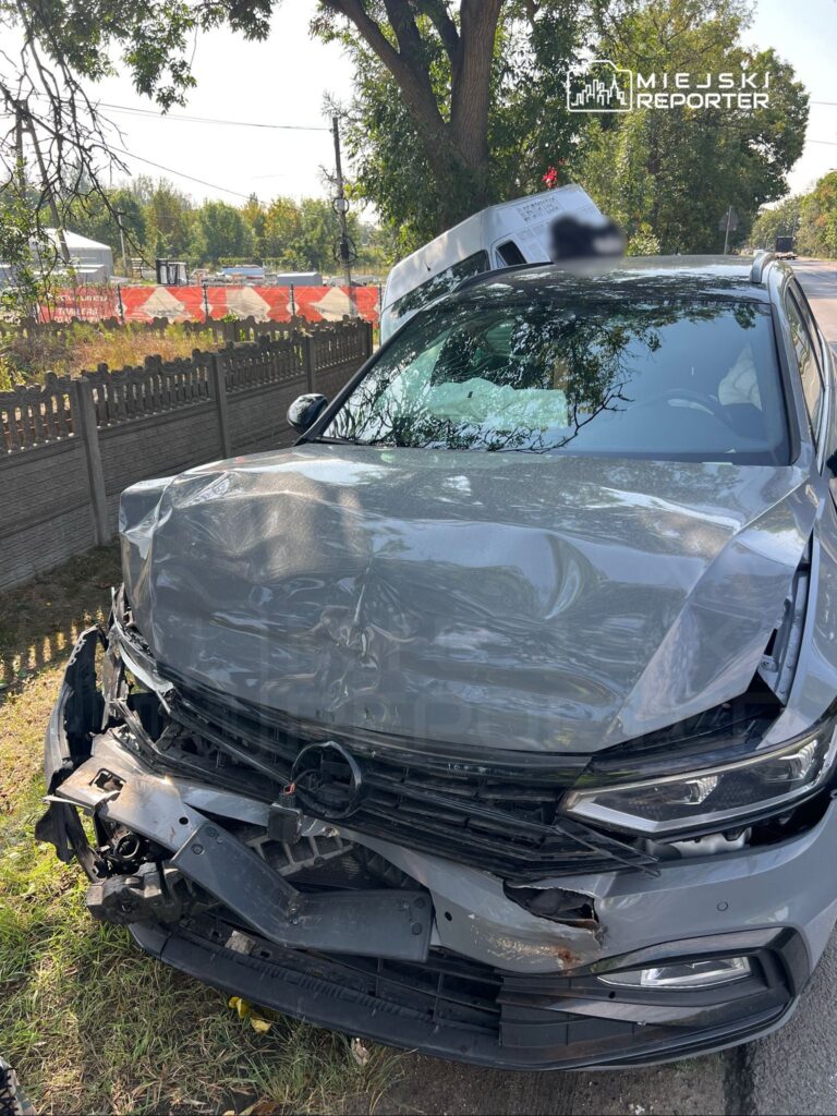 Zgnieciony przód szarego samochodu osobowego na poboczu drogi, obok widoczne znaki drogowe i ogrodzenie.