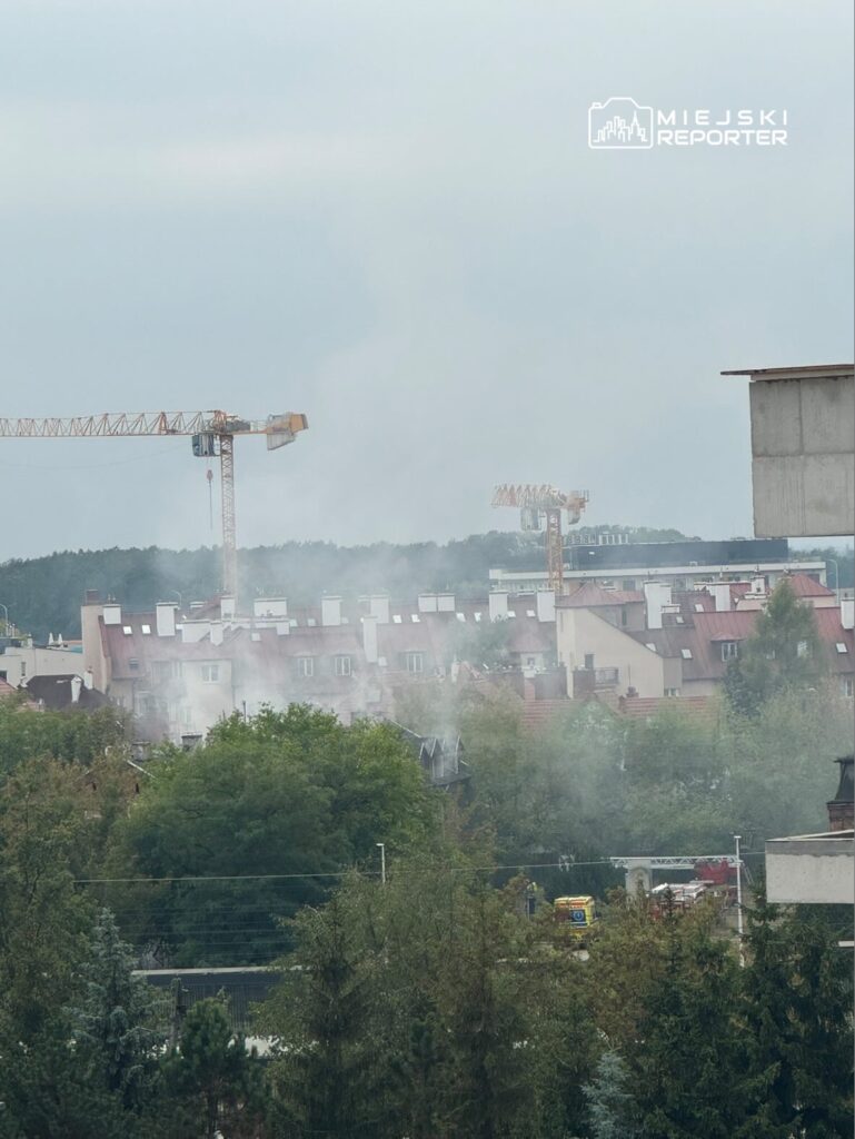 Zielone drzewa otaczają dymiące budynki mieszkalne, w tle widoczne dźwigi budowlane.