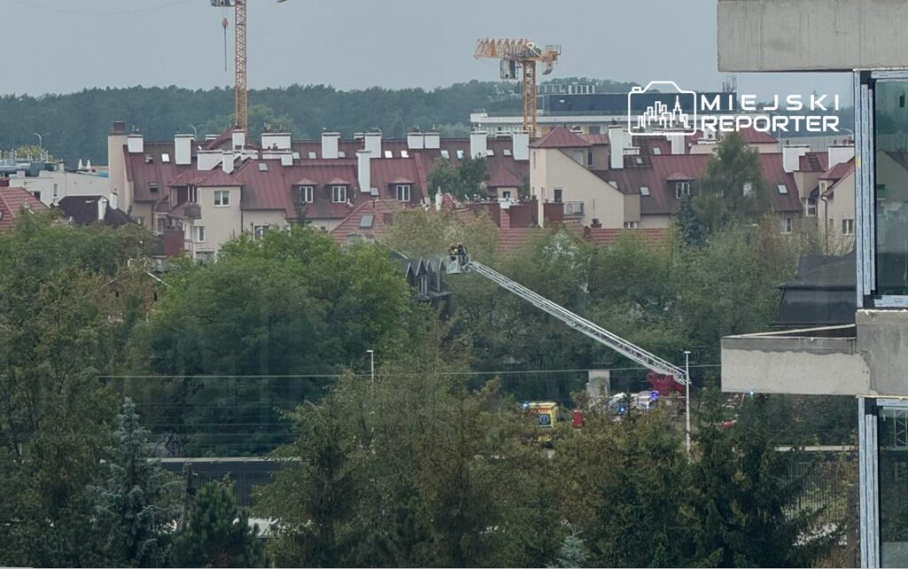 Strażacy na drabinie ratują osobę z dachu budynku w otoczeniu zabudowy mieszkalnej i drzew.