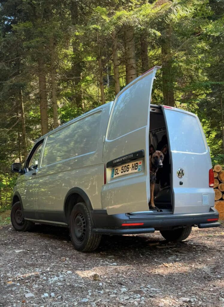 Volkswagen Transporter stoi na leśnej drodze, a w drzwiach tylnych pojazdu siedzi pies.