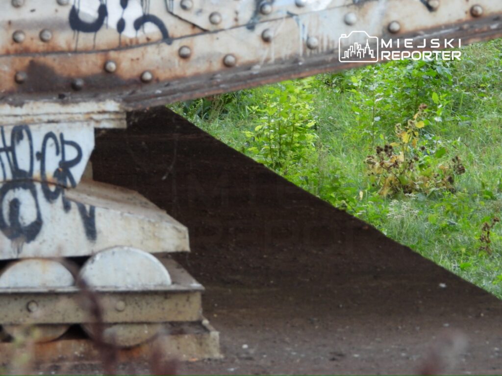 Metalowa konstrukcja z graffiti, pod którą rośnie trawa i krzewy w zielonym otoczeniu.
