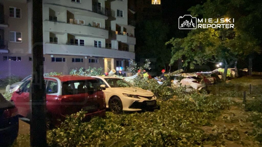 Grupa strażaków sprząta gałęzie zniszczone przez wiatr w okolicy zaparkowanych samochodów w nocy.
