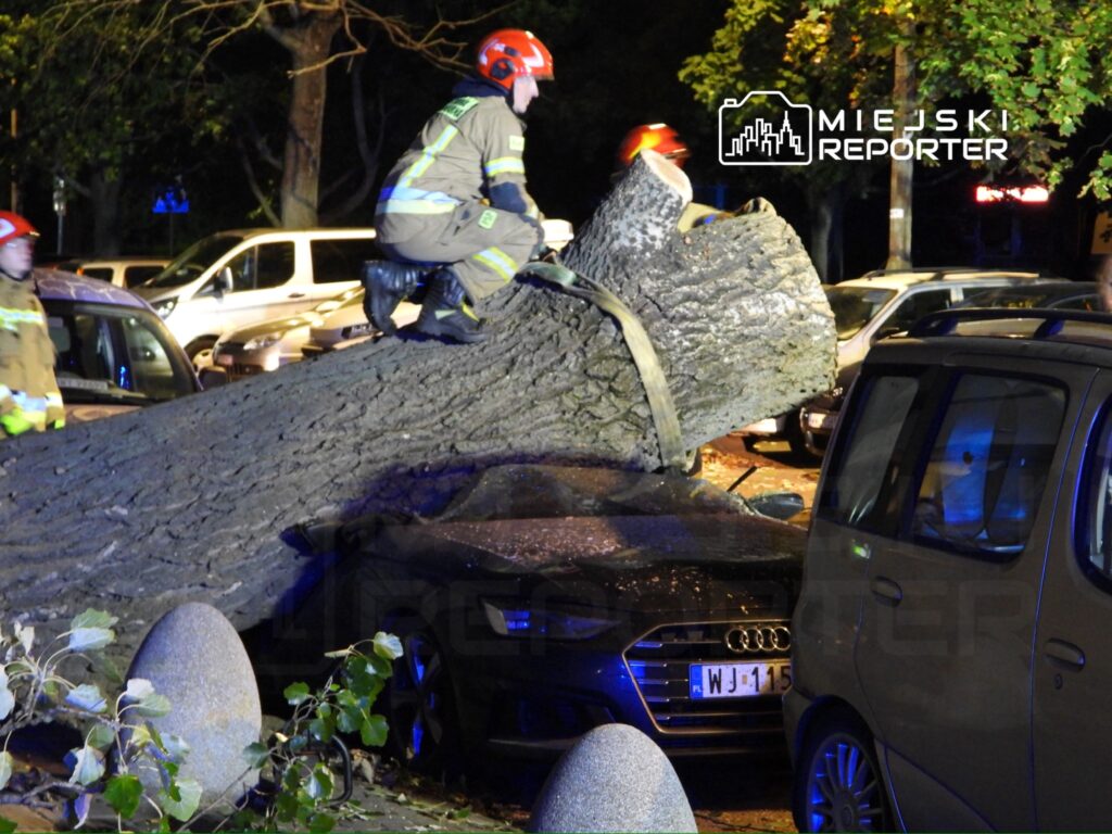 Strażacy usuwają powalony pień drzewa z zaparkowanego samochodu w miejskim otoczeniu nocą.