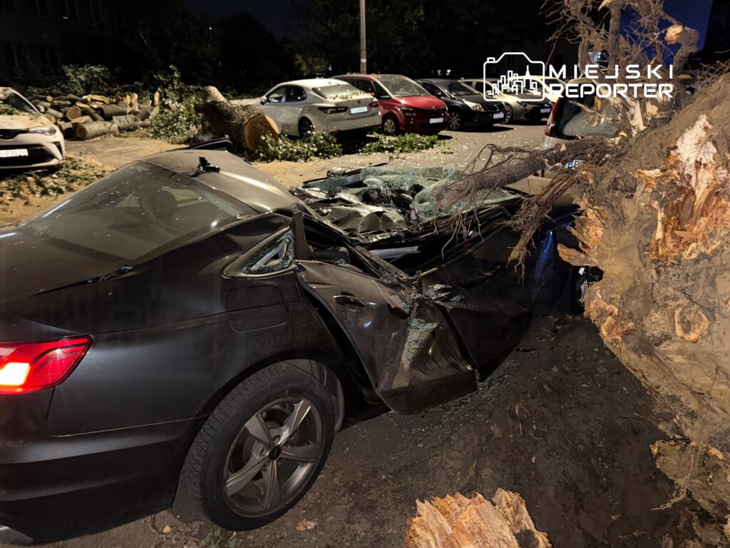 Czarny samochód osobowy uszkodzony przez przewrócone drzewo na parkingu, otoczony innymi zaparkowanymi pojazdami.
