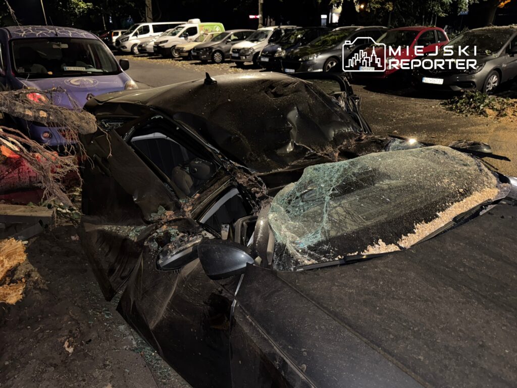 Uszkodzone auto leży na parkingu, z rozbitą szybą przednią i uszkodzonym dachem, obok leży powalony konar drzewa.