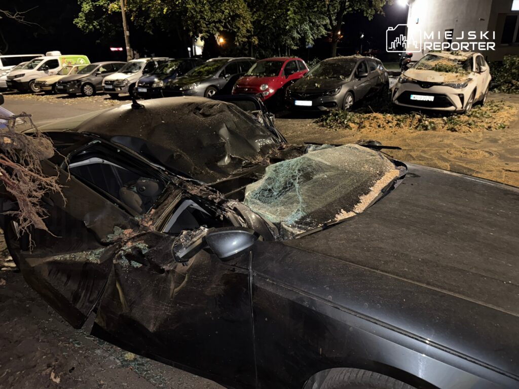 Uszkodzony samochód z wgniecionym dachem i rozbitą szybą, pokryty gałęziami i liśćmi na zaparkowanym miejscu.