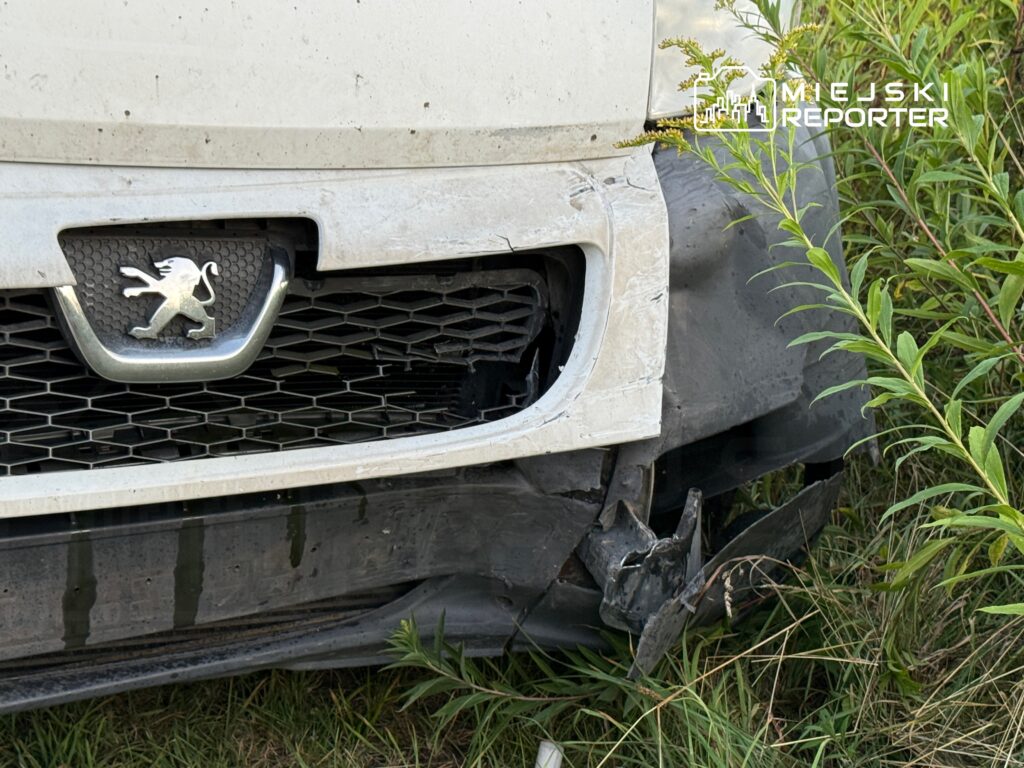 Uszkodzona biała furgonetka z uszkodzoną przednią częścią, otoczona wysoką trawą i krzewami.