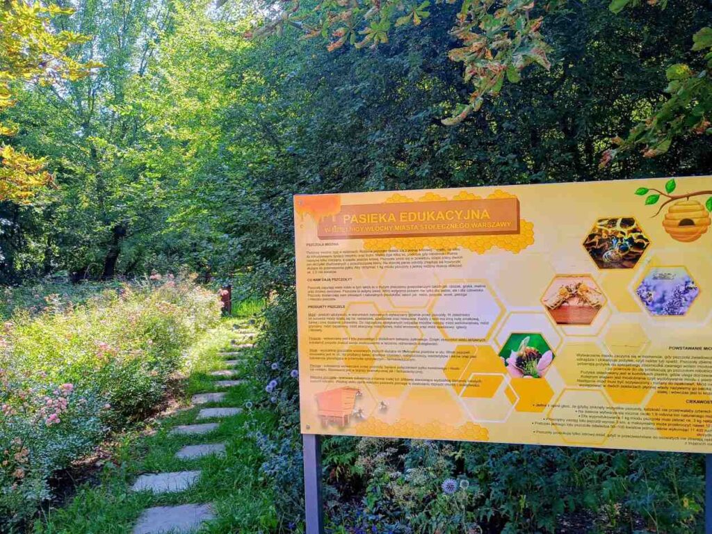 Edukacyjna pasieka z informacyjnym panelem w zielonym otoczeniu, przy ścieżce otoczonej kwiatami.