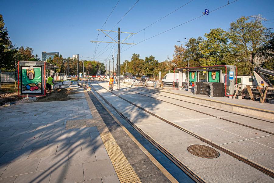 Robotnicy układają płyty chodnikowe obok torów tramwajowych, w otoczeniu drzew i nowoczesnych budynków.