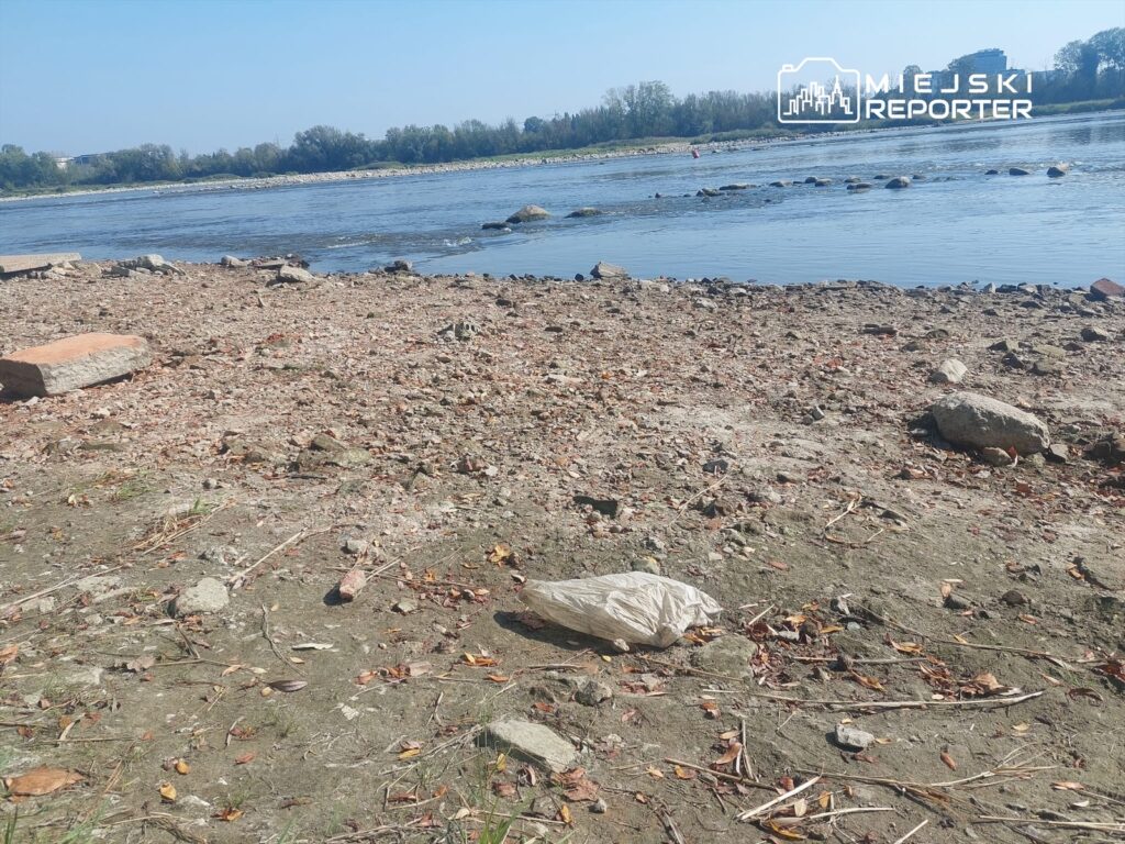 Płaski brzeg rzeki pokryty kamieniami i liśćmi, z widoczną plastikową torbą na ziemi.