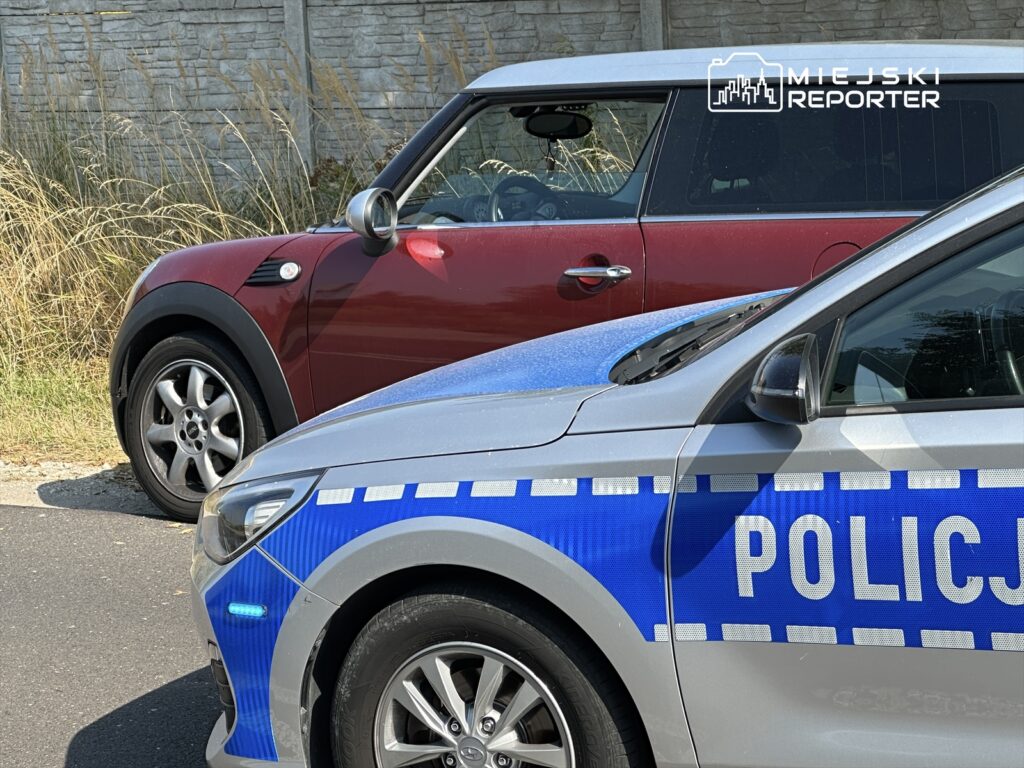 Czerwony samochód osobowy zaparkowany obok policyjnego auta na drodze, w tle wysokie trawy.