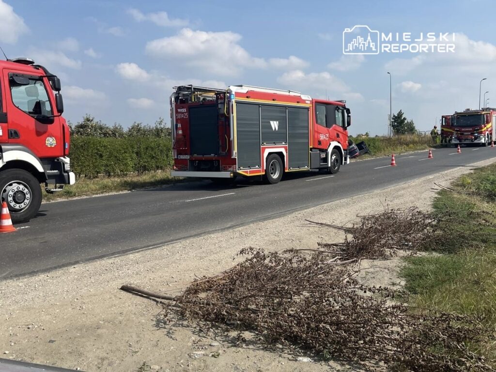 Strażacy pracują przy wozach gaśniczych na drodze, otoczeni pachołkami i gałęziami.