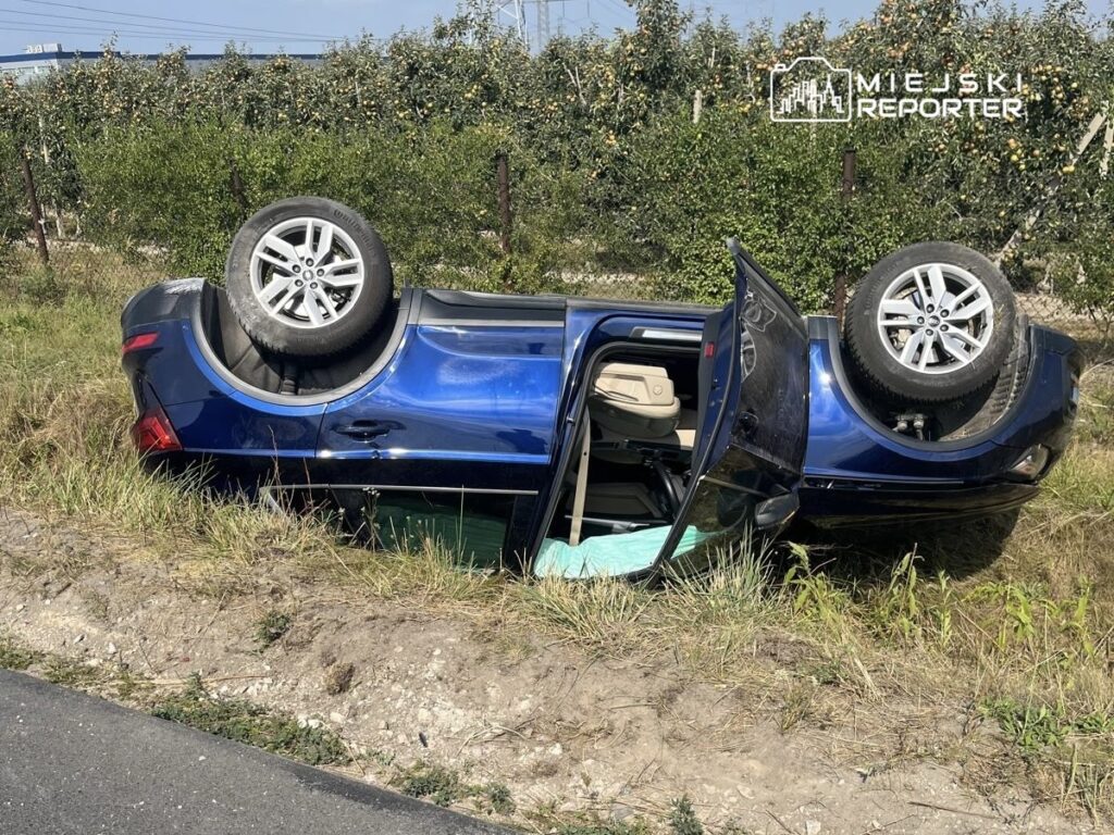 Niebieski samochód osobowy leży na dachu w rowie, otoczony trawą i drzewami owocowymi.