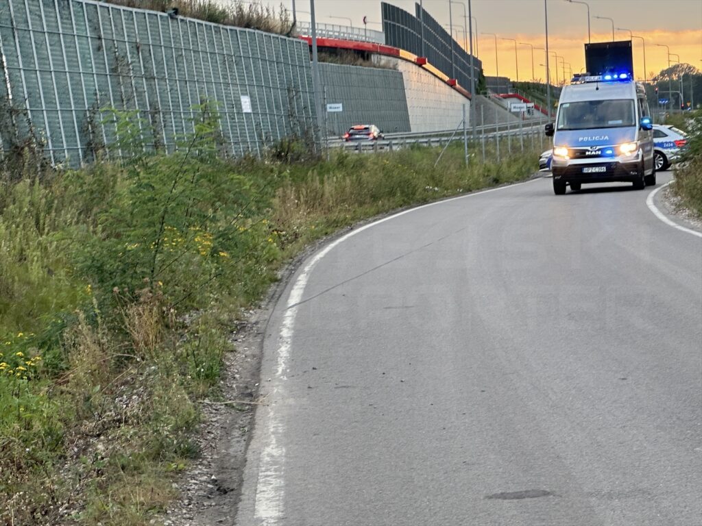 Policyjny radiowóz z włączonymi sygnałami świetlnymi porusza się wzdłuż krętej drogi, otoczonej zielenią.
