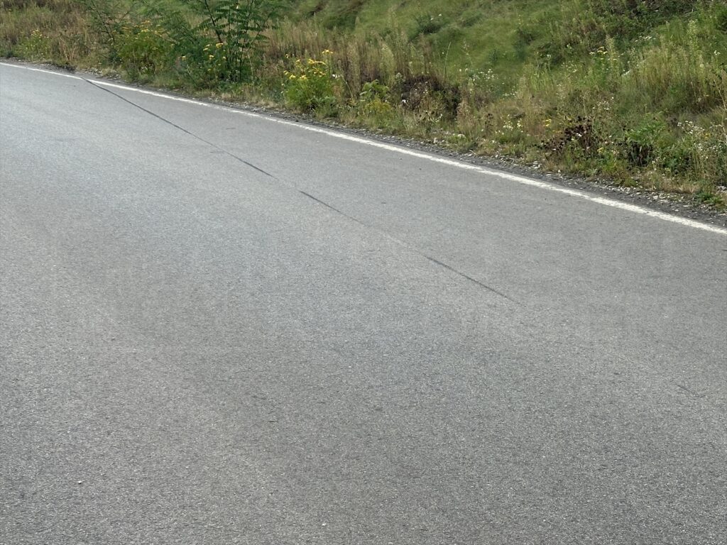 Pusta, szara nawierzchnia drogi z białą linią na krawędzi, otoczona zielonymi trawami i krzewami.