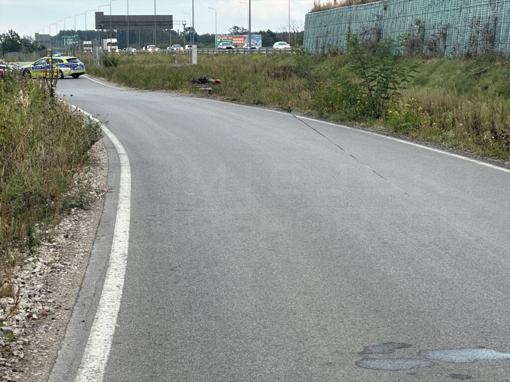 Policyjny radiowóz zatrzymany przy zakręcie drogi, obok rosnące trawy i krzewy. W tle widoczne pojazdy na autostradzie.