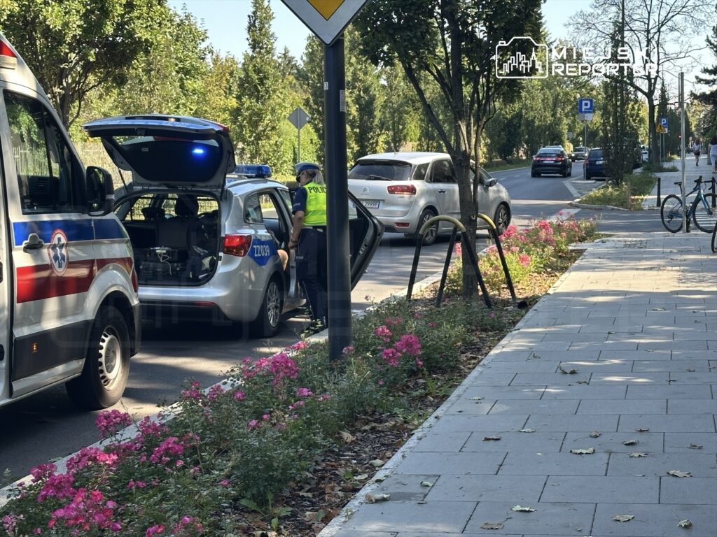 Policjant rozmawia z osobą w radiowozie na ulicy otoczonej drzewami i kwiatami. Obok stoi karetka pogotowia.