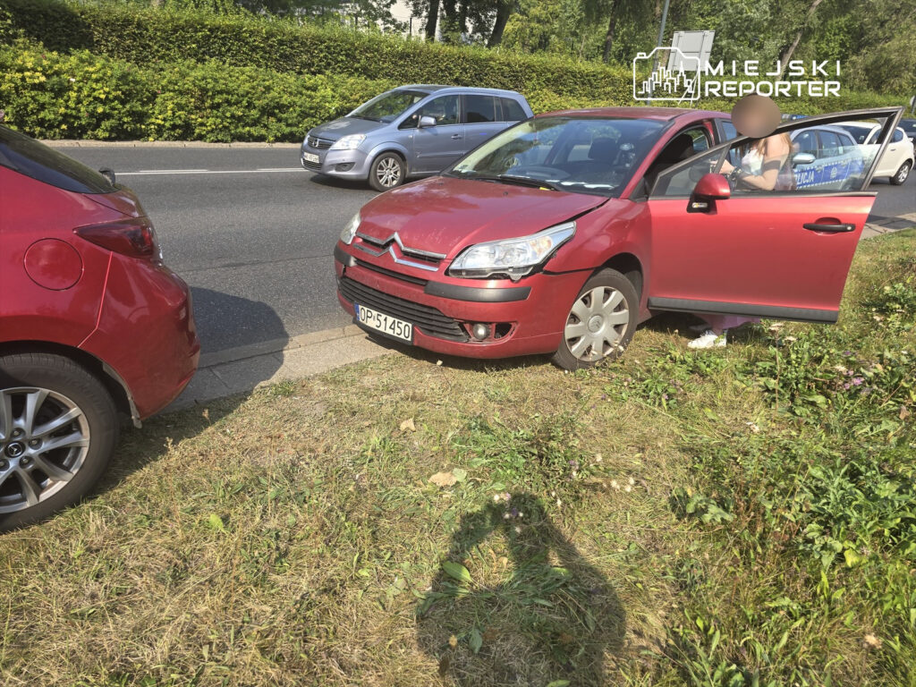 Czerwony samochód osobowy stoi na trawie obok drogi, a kierowca rozmawia z pasażerką. W tle widoczne inne pojazdy na jezdni.