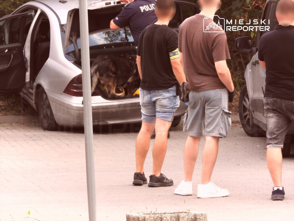 Grupa mężczyzn obserwująca policjanta z psem, który przeszukuje bagażnik samochodu na parkingu.