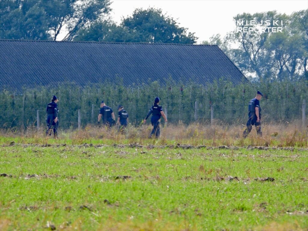 Grupa funkcjonariuszy w mundurach przeszukuje pole w pobliżu linii drzew, w tle widoczny budynek.