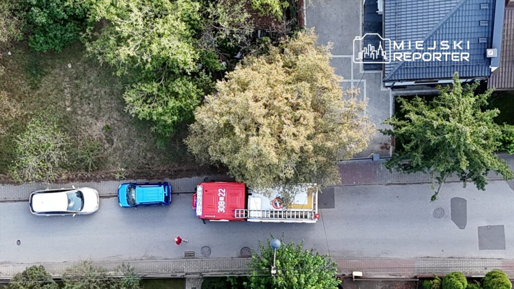 Czerwony wóz strażacki stoi na ulicy obok niebieskiego samochodu, a w tle widać zieleń drzew.