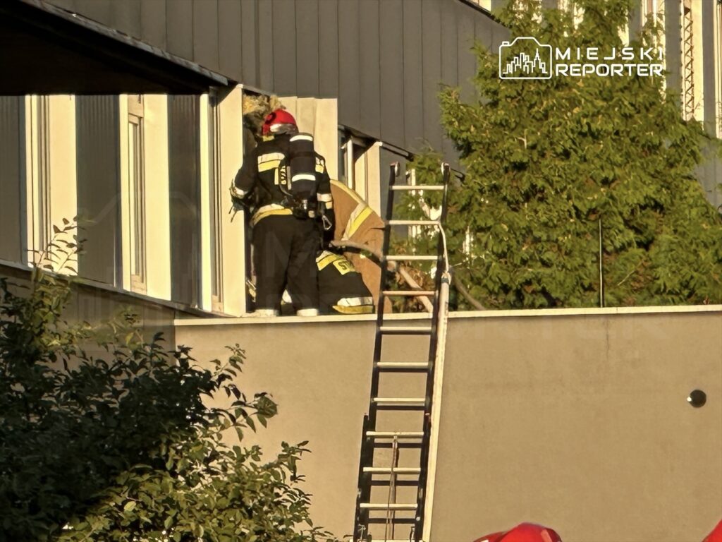 Strażacy w hełmach wynoszą sprzęt przez okno budynku, obok drabina i zielone drzewa w tle.