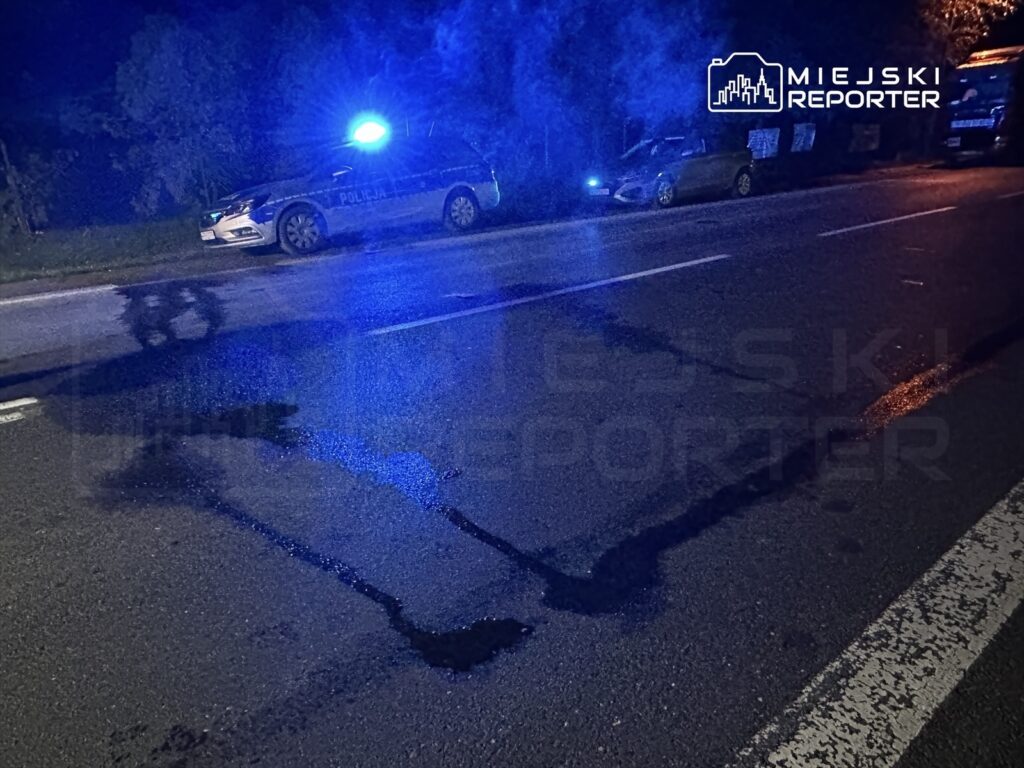 Policyjny radiowóz z niebieskimi światłami stoi na poboczu drogi, obok widoczna plama na jezdni.