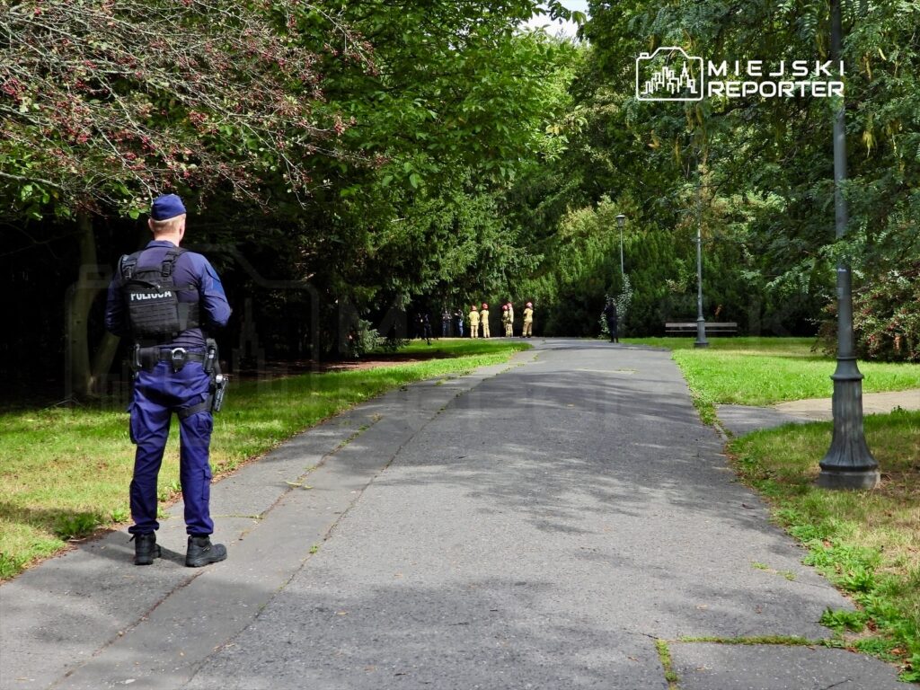 Policjant w mundurze obserwuje grupę strażaków w uniformach stojących w parku.