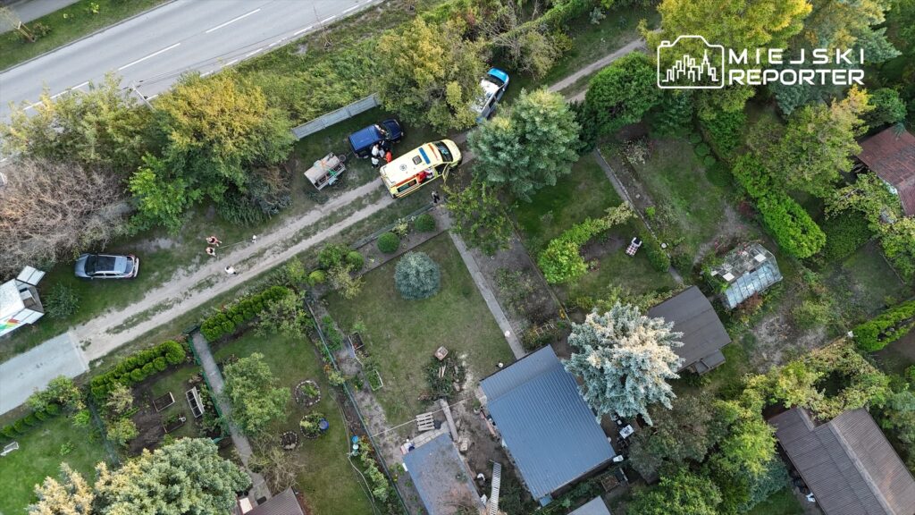 Karetka pogotowia oraz dwa samochody zaparkowane w ogrodzie, otoczone drzewami i krzewami.
