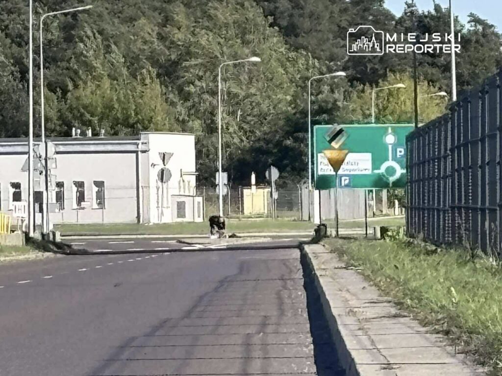 Rondo z oznakowaniem parkingu w tle, z betonowym ogrodzeniem po jednej stronie i budynkiem po drugiej.