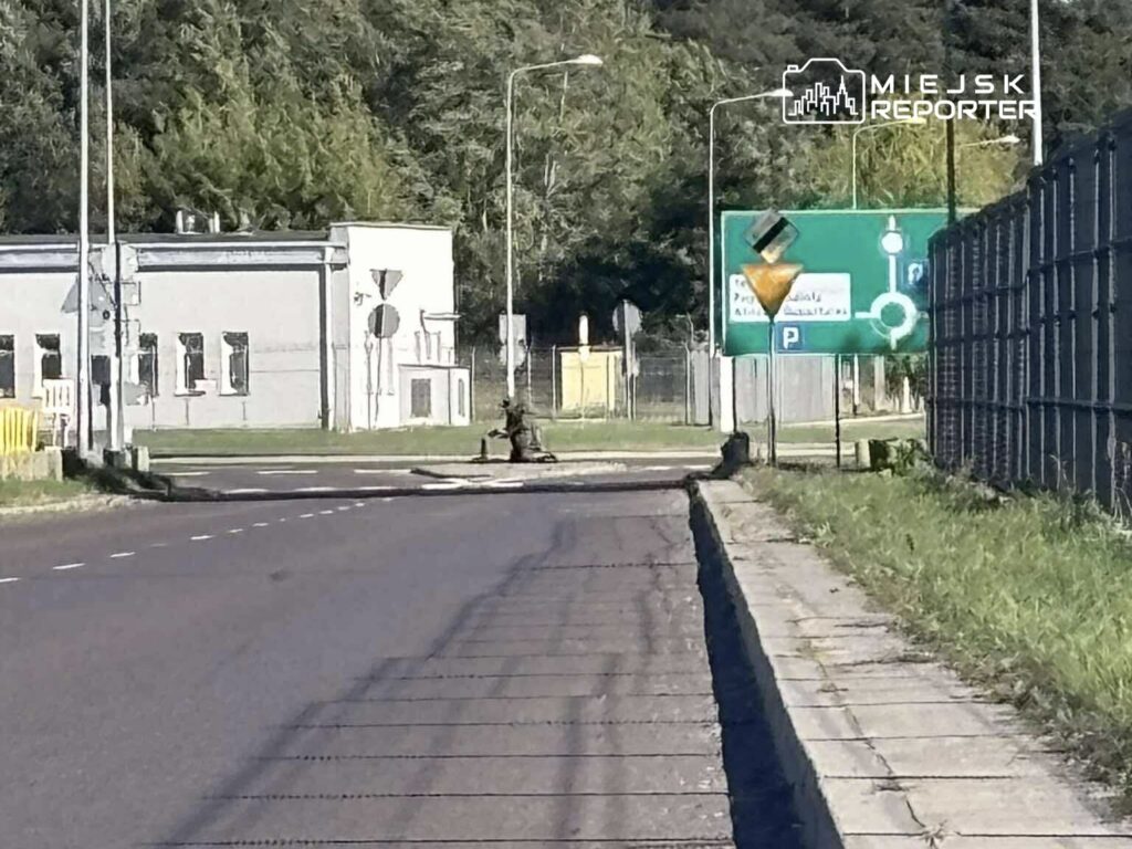 Mężczyzna w mundurze siedzący na chodniku obok drogi, w tle znak drogowy i budynek przemysłowy.