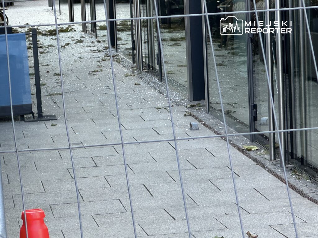 Zabrudzone chodniki w pobliżu przeszklonego budynku, pokryte liśćmi i drobnymi odłamkami szkła, ogrodzone metalową siatką.