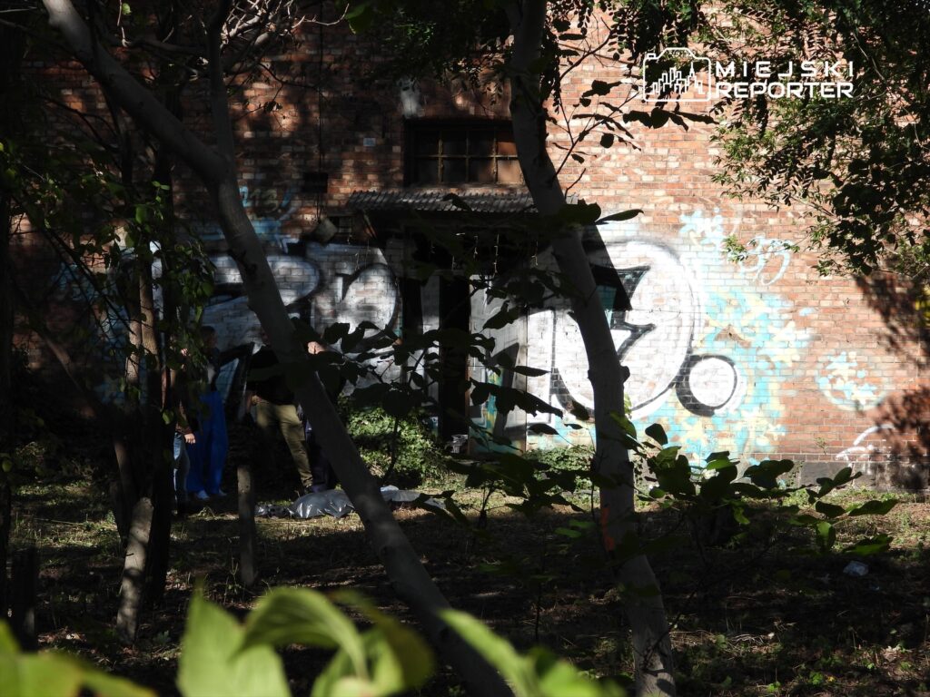 Dwie osoby w niebieskich i czarnych ubraniach przeszukują zarośla przed ceglanym budynkiem z graffiti.